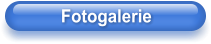 Fotogalerie