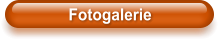 Fotogalerie